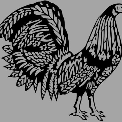 CHICK013 Thumbnail