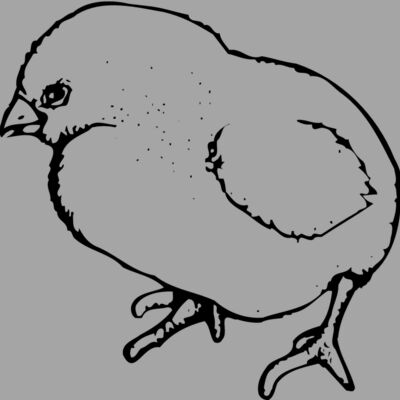 CHICK020 Thumbnail