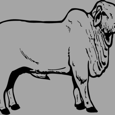 COW019 Thumbnail