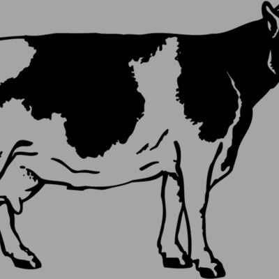 COW024 Thumbnail