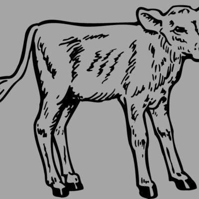 COW028 Thumbnail