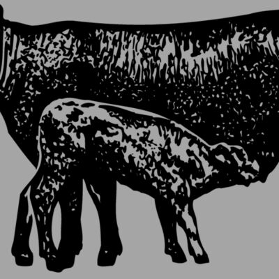 COW029 Thumbnail