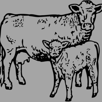 COW030 Thumbnail