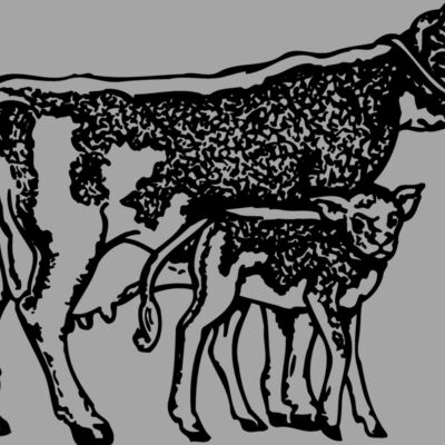 COW032 Thumbnail