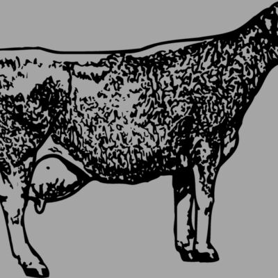 COW034 Thumbnail