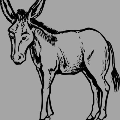 BURRO001 Thumbnail