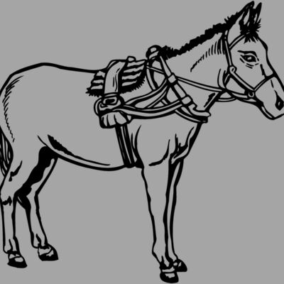 BURRO007 Thumbnail