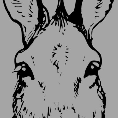 BURRO008 Thumbnail
