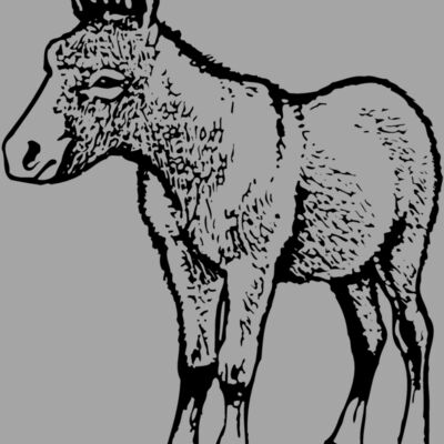BURRO009 Thumbnail