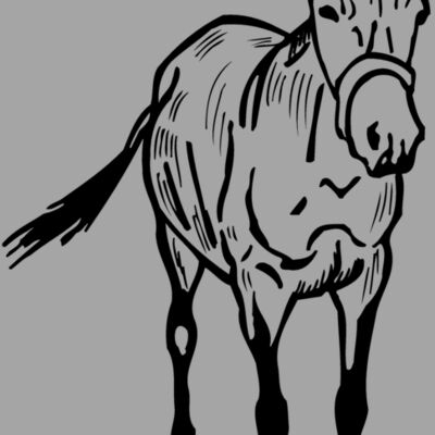 BURRO010 Thumbnail