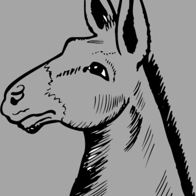 BURRO014 Thumbnail