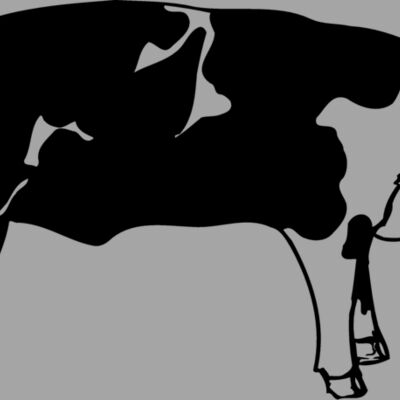 HOG0003 Thumbnail