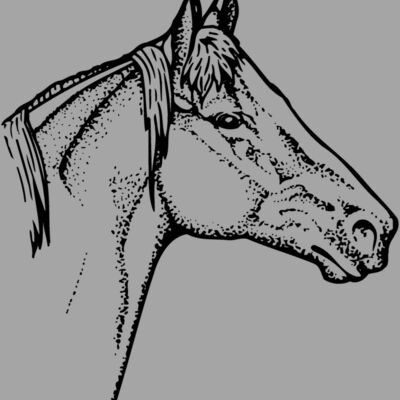 HORSE010 Thumbnail