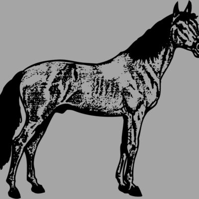 HORSE014 Thumbnail