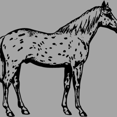 HORSE015 Thumbnail