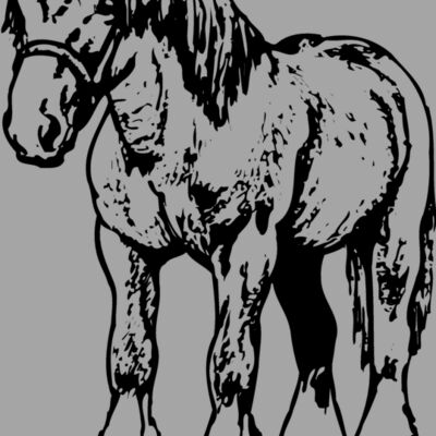 HORSE035 Thumbnail