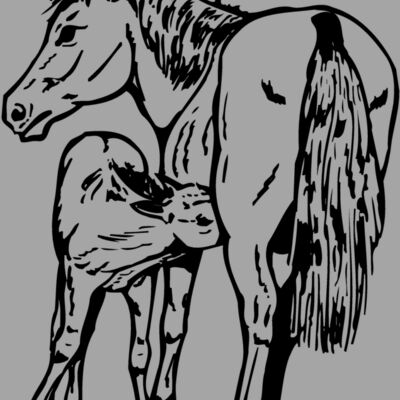 HORSE036 Thumbnail