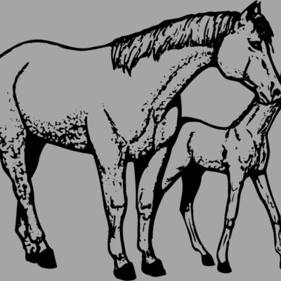 HORSE039 Thumbnail