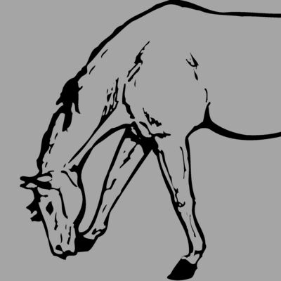 HORSE045 Thumbnail