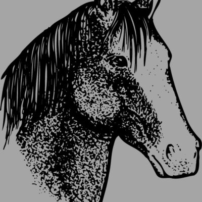 HORSE046 Thumbnail