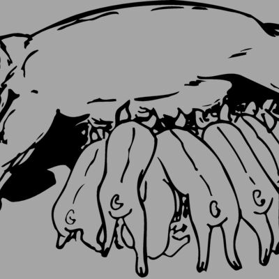 PIGLET01 Thumbnail