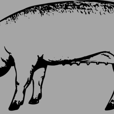 SOW0001 Thumbnail