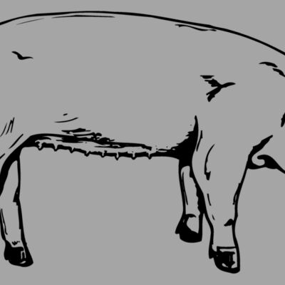 SOW0002 Thumbnail