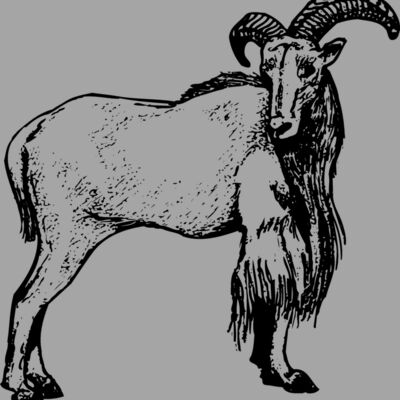 RAM001 Thumbnail