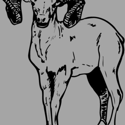 RAM006 Thumbnail