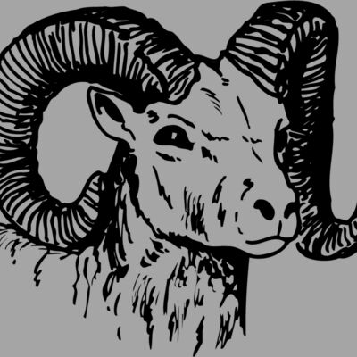 RAM010 Thumbnail