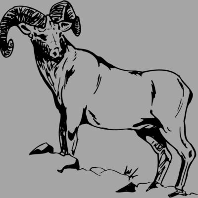 RAM013 Thumbnail