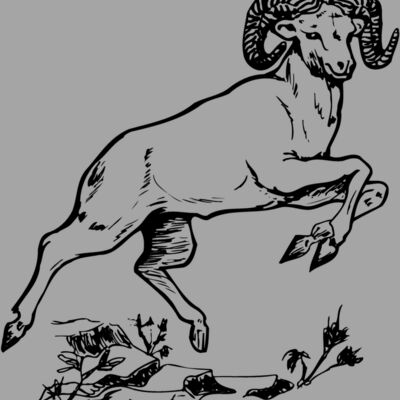RAM014 Thumbnail
