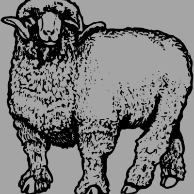 SHEEP001 Thumbnail