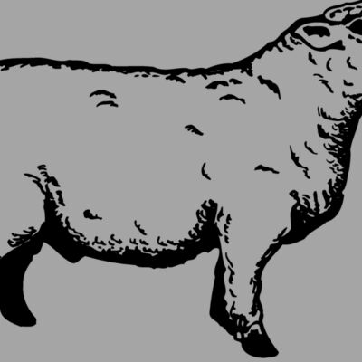SHEEP011 Thumbnail