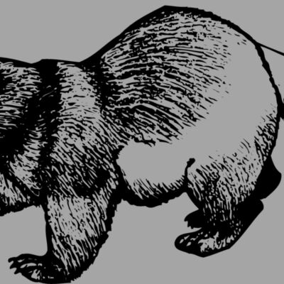 BADGER02 Thumbnail