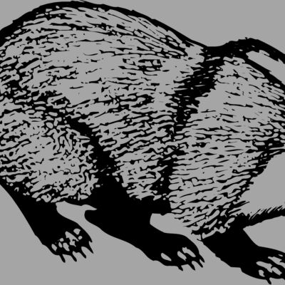 BADGER03 Thumbnail