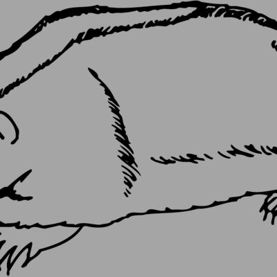 BADGER06 Thumbnail