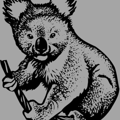 BEAR007 Thumbnail