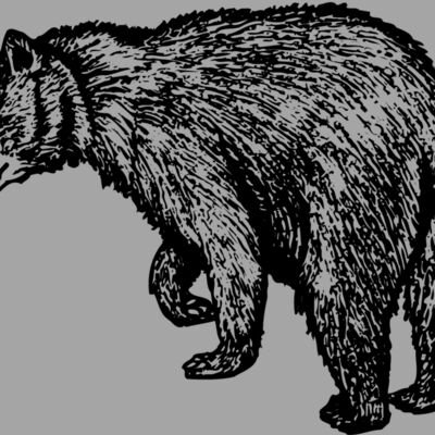 BEAR011 Thumbnail
