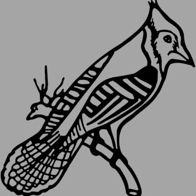 BIRD010 Thumbnail