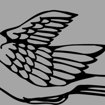 BIRD012 Thumbnail