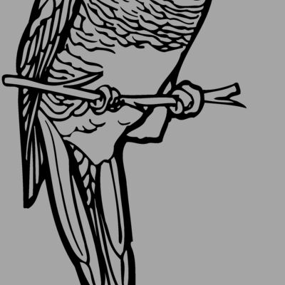 BIRD013 Thumbnail