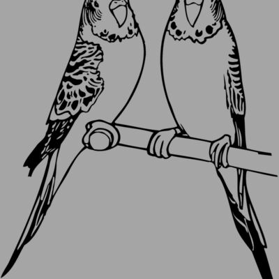 BIRD014 Thumbnail