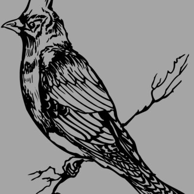 BIRD025 Thumbnail