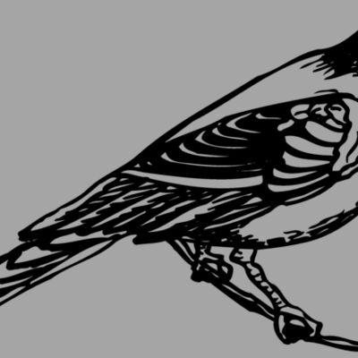 BIRD030 Thumbnail