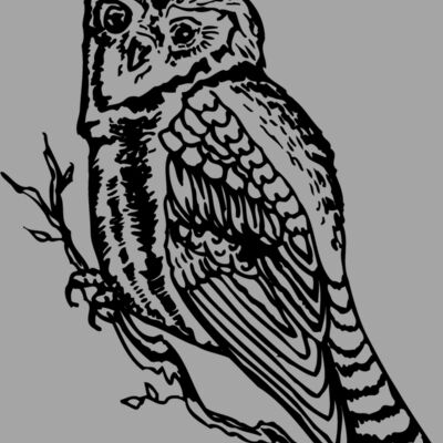 BIRD048 Thumbnail