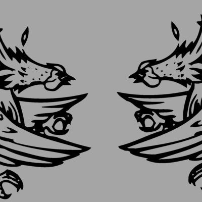 BIRD054 Thumbnail