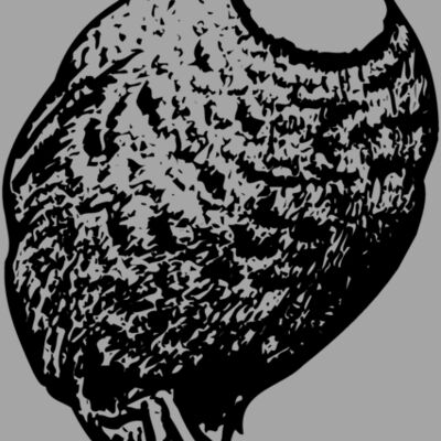 BIRD063 Thumbnail