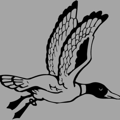 BIRD069 Thumbnail