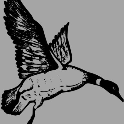 BIRD082 Thumbnail